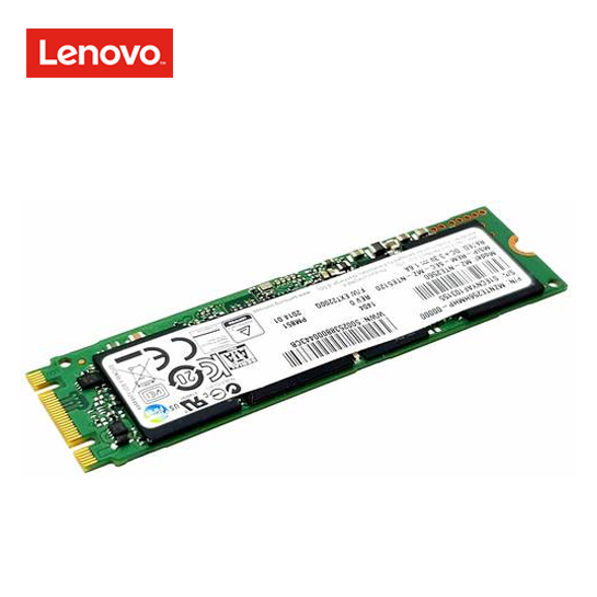 Lenovo SSD - encrypted - 256 GB - internal - M.2 2280 - SATA 6Gb/s - TCG Opal Encryption 2.0 - for ThinkPad T480s 