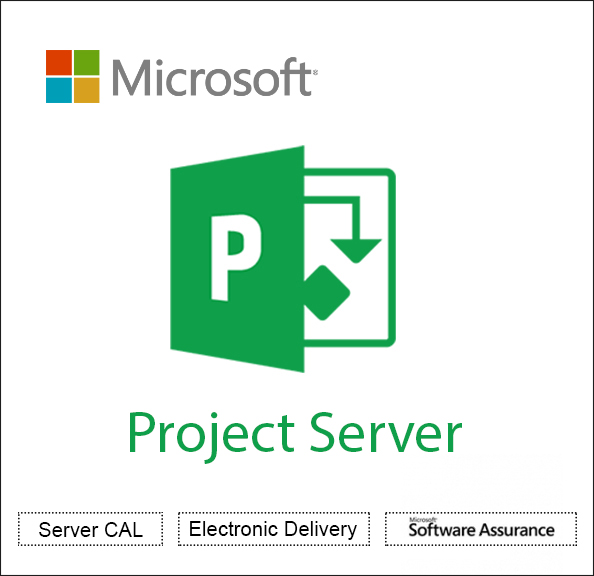 Microsoft Office Project Server License & software assurance - 1 server - Open Value Subscription - level D - additional product, annual fee - Win - All Languages Software Licensing,Software Assurance