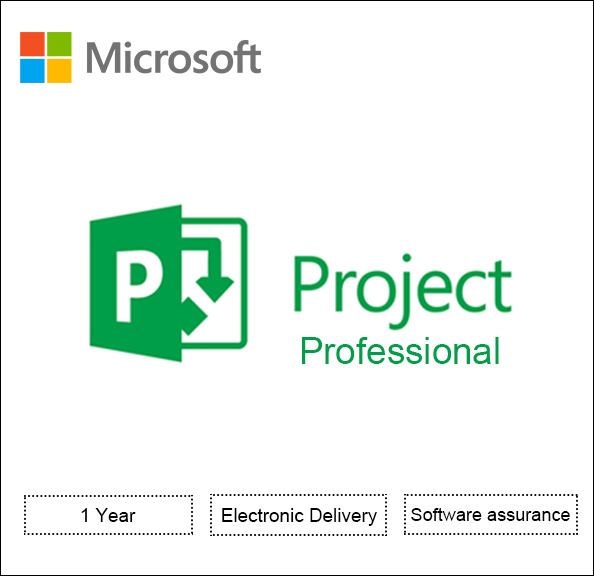 Microsoft Office Project Professional Software assurance - 1 PC - Open Value - level D - additional product, 1 Year Acquired Year 1 - Win - with Project Server CAL Software Licensing,Software Assurance